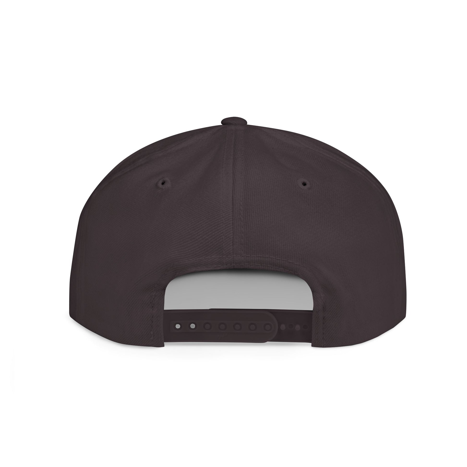 Flat Bill Snap Back - back